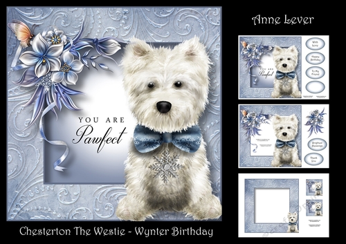 Chesterton The Westie - Wynter Birthday