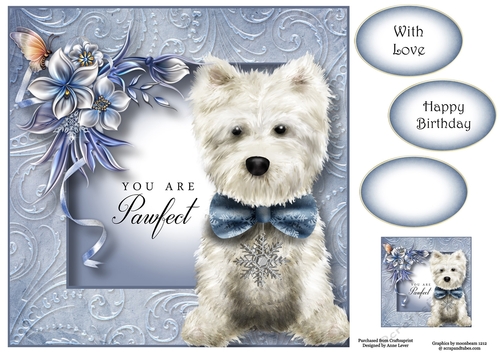 Chesterton The Westie - Wynter Birthday 8x8