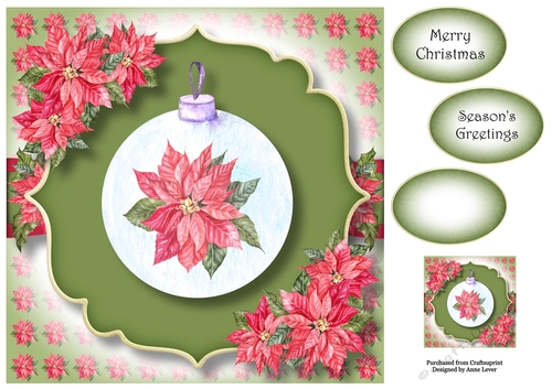 Frosted Glass Bauble - Poinsettias 8x8