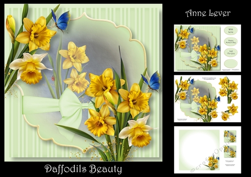 Daffodils Beauty
