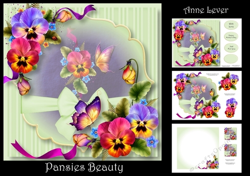 Pansies Beauty