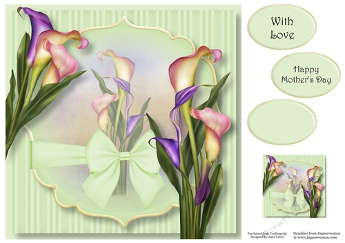 Calla Lily Beauty 8x8
