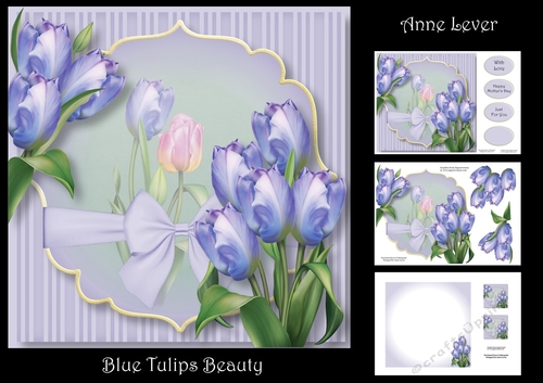 Blue Tulips Beauty