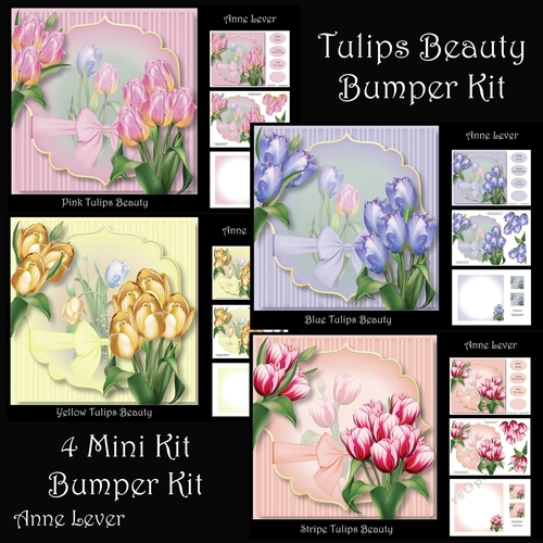 Tulips Beauty Bumper Kit