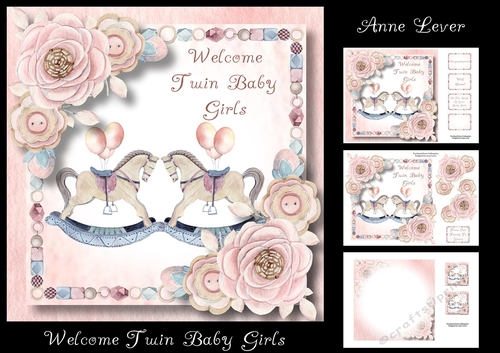 Welcome Twin Baby Girls