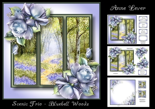 Scenic Trio - Bluebell Woods