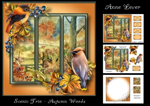 Scenic Trio - Autumn Woods