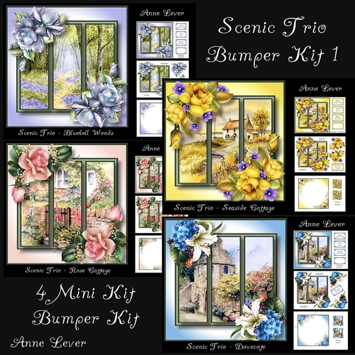 Scenic Trio Bumper Kit 1