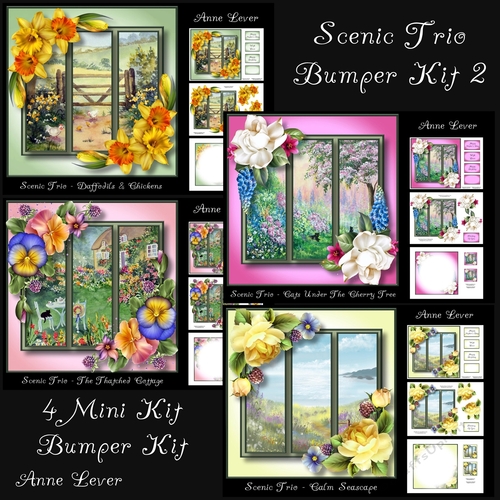 Scenic Trio Bumper Kit 2