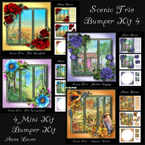 Scenic Trio Bumper Kit 4