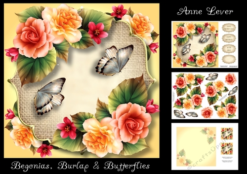 Begonias, Burlap & Butterflies