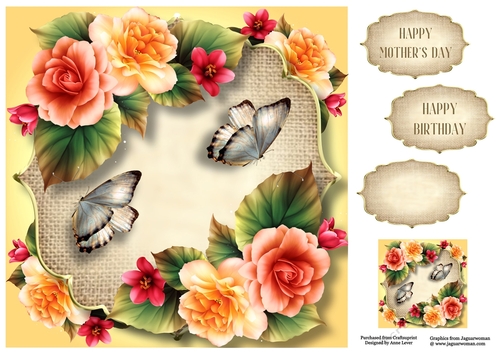 Begonias, Burlap & Butterflies 8x8
