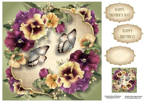 Pansies, Burlap & Butterflies 8x8