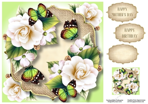 White Begonias, Burlap & Butterflies 8x8