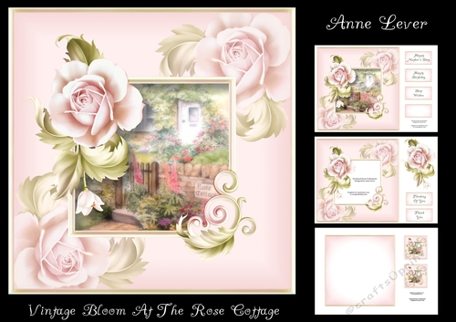 Vintage Bloom At The Rose Cottage