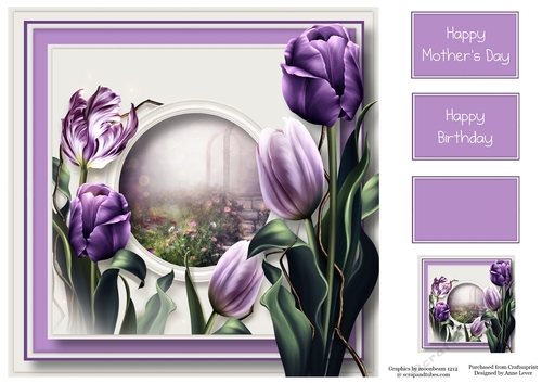 Gorgeous Purple Tulips 8x8