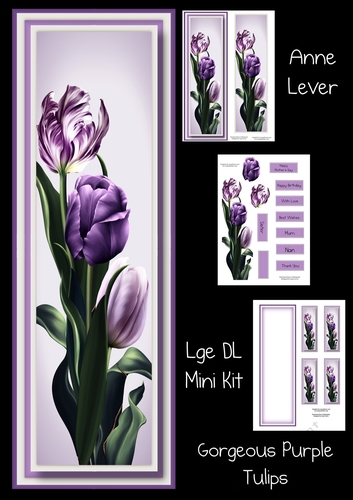 Gorgeous Purple Tulips Lge DL