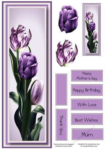 Lge DL Gorgeous Purple Tulips