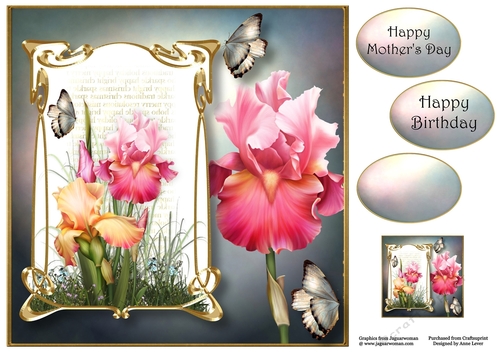 Art Nouveau Blush Iris 8x8