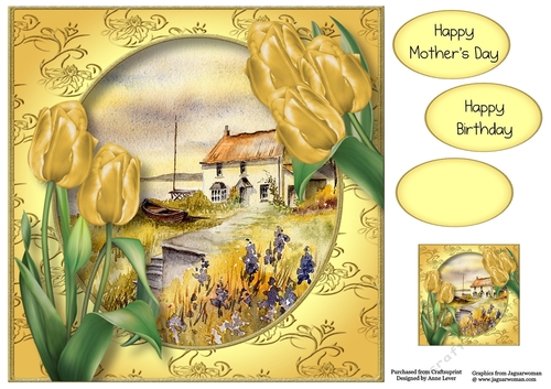 Yellow Tulips At The Coastal Cottage 8x8
