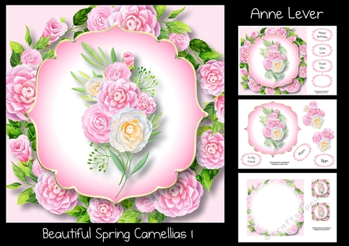 Beautiful Spring Camellias 1