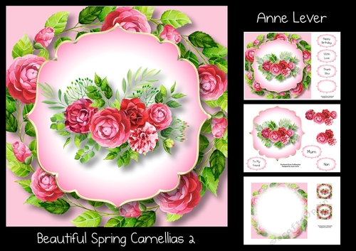 Beautiful Spring Camellias 2