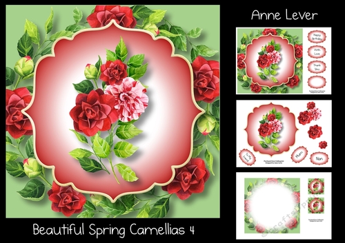 Beautiful Spring Camellias 4