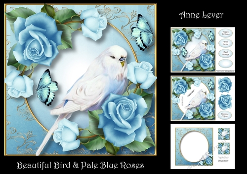 Beautiful Bird & Pale Blue Roses