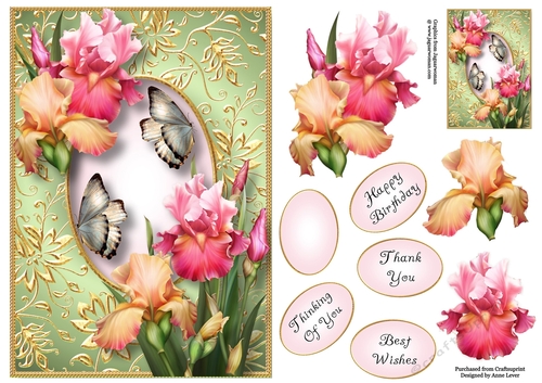 Gilded Frame & Blush Of Iris A5