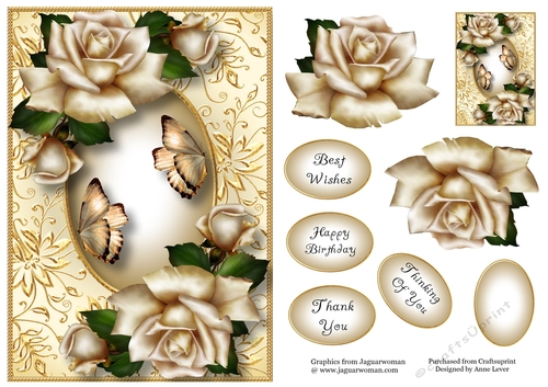 Gilded Frame & Antique Roses A5