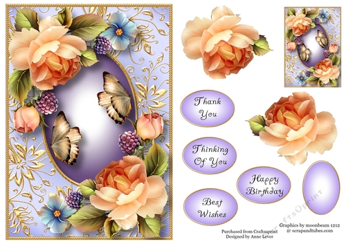 Gilded Frame & Peach Roses A5