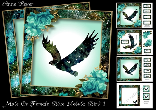 Male Or Female Blue Nebula Bird 1