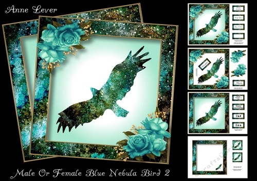 Male Or Female Blue Nebula Bird 2