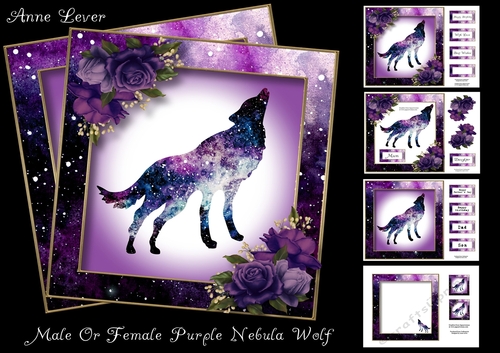 Male Or Female Purple Nebula Wolf
