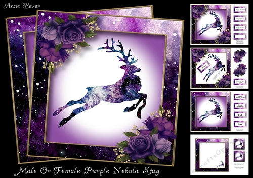 Male Or Female Purple Nebula Stag
