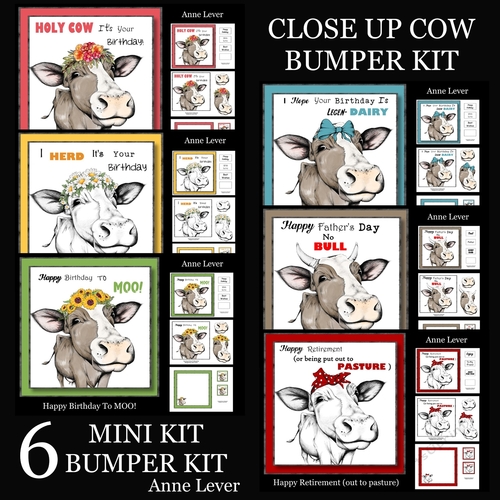Funny Close Up Cow Bumper Kit (6 Minikits)