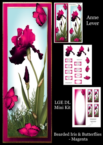 Bearded Iris & Butterflies - Magenta