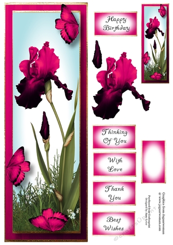 Lge DL Bearded Iris & Butterflies - Magenta
