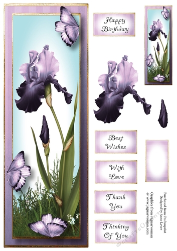 Lge DL Bearded Iris & Butterflies - Muted Purple
