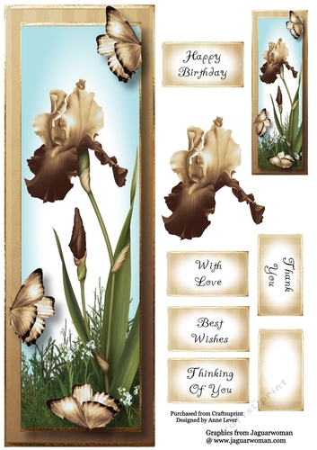 Lge DL Bearded Iris & Butterflies - Latte