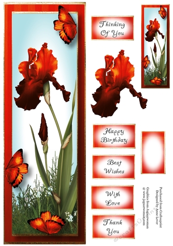 Lge DL Bearded Iris & Butterflies - Flame Orange