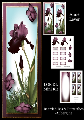 Bearded Iris & Butterflies - Aubergine