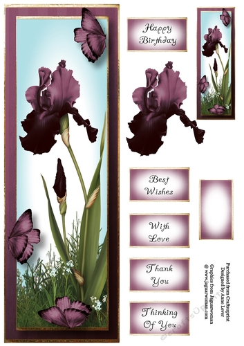 Lge DL Bearded Iris & Butterflies - Aubergine