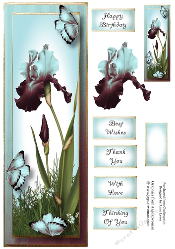 Lge DL Bearded Iris & Butterflies - Blended Blue