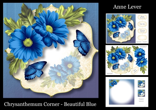 Chrysanthemum Corner - Beautiful Blue