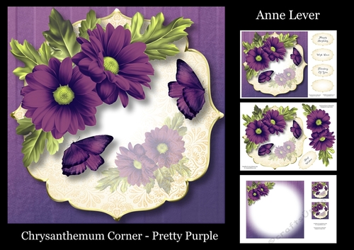Chrysanthemum Corner - Pretty Purple