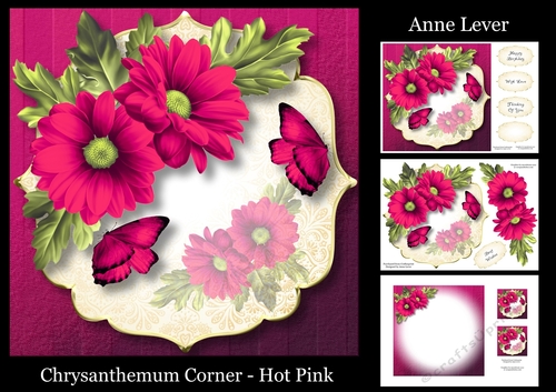 Chrysanthemum Corner - Hot Pink