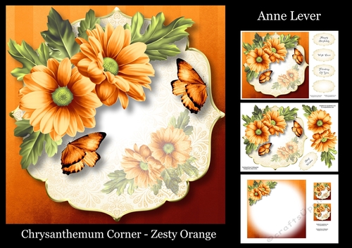 Chrysanthemum Corner - Zesty Orange