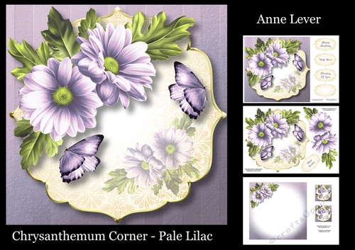 Chrysanthemum Corner - Pale Lilac