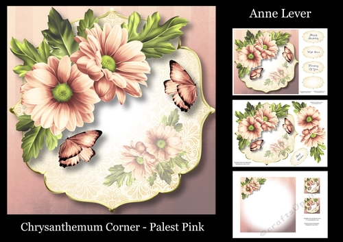 Chrysanthemum Corner - Palest Pink